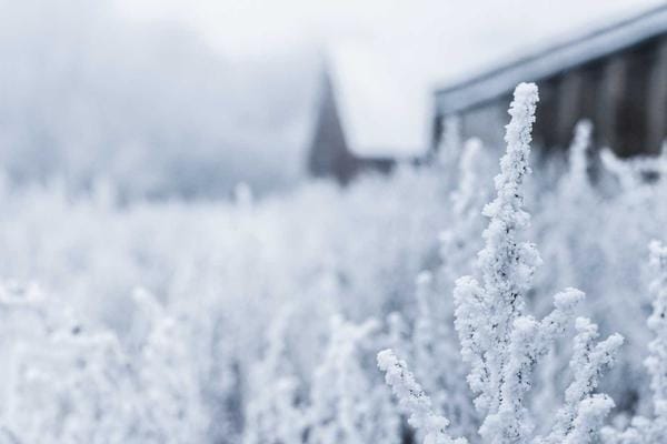 Zero-Day Vulnerabilities: Inside the Hacker Marketplace
